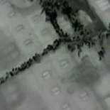 'Me dio su chaleco salvavidas y murió'