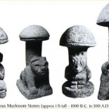 Los hongos alucinógenos pueden levantar los filtros del cerebro que limitan la percepción de la realidad. (eng)