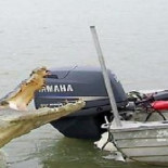 Por qué las personas sanas son una puñetera ruina