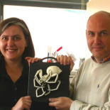 Araña hallada en ámbar en Teruel con una antigüedad de 100 millones de años