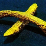 Una galería debe indemnizar con 22.000 € a un autor por destruir dos patatas fritas artísticas