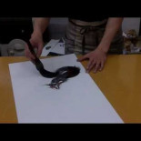 Cómo dibujar un dragón japonés en poco más de 8 minutos