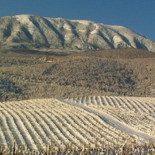 Grecia: en Tesalónica comienzan a organizarse al margen del Estado