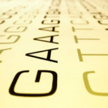 ¿Descubierto un nuevo tipo de ADN?