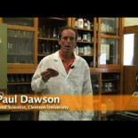 ¿Se puede comer la comida que se ha caído al suelo?