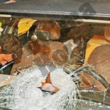 ¿Pagar 1.000 € por un defecto de fábrica?