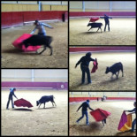 Rechazo en las redes sociales al toreo de una vaquilla y promoción de tauromaquia de La Oreja de Van Gogh