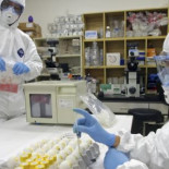 Recorte del 34% en programas de investigación en los Presupuestos Generales