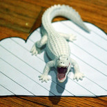 Apple puede descifrar tu iCloud para revisarlo, borrarlo o enviarlo a la policia [ENG]