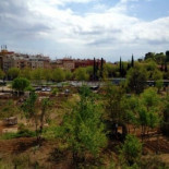 Arrasan con excavadoras los huertos comunitarios de Esplugues