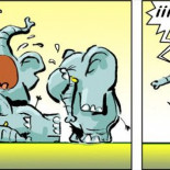 ¡¡¡¿Por qué no te callas?!!!