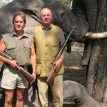 Carta de un investigador al rey