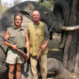 WWF inicia el proceso para expulsar al Rey como socio de honor, los socios tendrán la última palabra