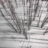 Hollande se baja el sueldo