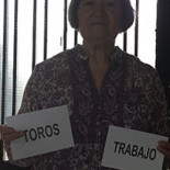 Los toros ganan al empleo en el referéndum de Cáceres