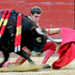 El Partido Animalista lamenta que el IVA de los toros se mantenga en el tipo reducido