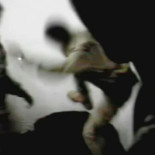 España en Irak: del error al horror [pruebas del maltrato infligido a reclusos]