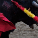 El Parlamento Holandés pedirá a la UE que retire las ayudas a la tauromaquia