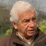 Un roble de 300 años talado en el Camino de Santiago por una poda salvaje de Gas Natural Unión Fenosa