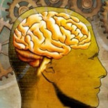 El estudio del cerebro