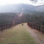 Aislada una pedanía de Ciudad Real para poder hacer una montería de caza
