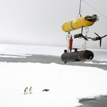 Drone submarino traza el primer mapa 3D bajo el hielo marino antártico (ING)
