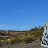 Aprobada la nueva Ley de Caza de Castilla-La Mancha. Se permite matar perros y gatos
