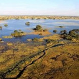 Atentado perpetrado contra la oficina de la revista francesa Charlie Hebdo [ENG]