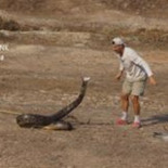 Frank Cuesta: Carta abierta a su excelentisima Sra. Maria del Carmen Moreno Raymundo. Embajadora de España en Tailandia