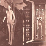 El gigante extremeño del Museo Antropológico de Madrid y otros hércules españoles