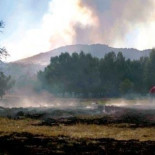 Aprobada definitivamente la Ley de Montes que permite construir en terreno incendiado