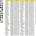 Diario La Razón, Partido Popular y Casa Real promocionados por la misma red de cuentas falsas en Twitter