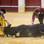 Bruselas aprueba por mayoría absoluta que la UE deje de financiar a la tauromaquia
