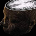 Descubren el origen de la enfermedad del alzhéimer y cómo bloquearla