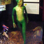 Cuando despertaron los mamíferos, ¿dónde estaban los dinosaurios?