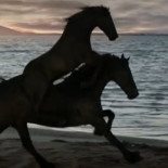 Los antiguos dueños de Pepephone pagan por sorpresa un año de sueldo a sus empleados tras vender la compañía a MásMóvil