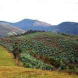 Un nuevo campamento de las Guerras Cántabras confirma que el Portus Victoriae estaba en la bahía de Santander