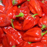 Un chile "Ghost Pepper" perfora el esófago de un hombre y colapsa su pulmón [EN]