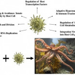 Sobre pulpos con genes extraterrestres y la falacia del argumento de autoridad