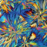 Los coágulos, los hepatocitos y la gripe aviar son preciosos [ENG]