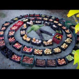 Cambio permanente: Introducción a la Permacultura en la finca Caña Dulce