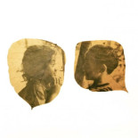 Fotografías reveladas en hojas caídas de árboles y con la ayuda del sol