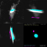 ¿En qué habrían evolucionado las Nubes de Magallanes si estuvieran lejos de la Vía Láctea? (ING)