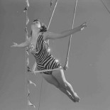 El circo grotesco de las células tumorales: trapecistas y escapistas