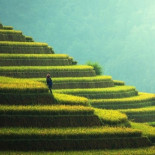 Cómo la agricultura hizo que nos volviéramos más bajitos de lo que éramos