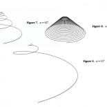 ¿Qué patrones matemáticos exhiben los insectos? [ENG]