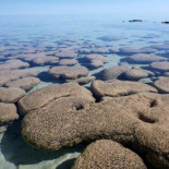 Antiguas rocas ofrecen pistas sobre la historia temprana de la Tierra [ENG]