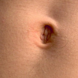 La flora de tu ombligo [ENG]