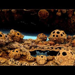 "Como en un sueño": fractales en 3D