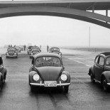 Los catorce “Porsche Escarabajo”